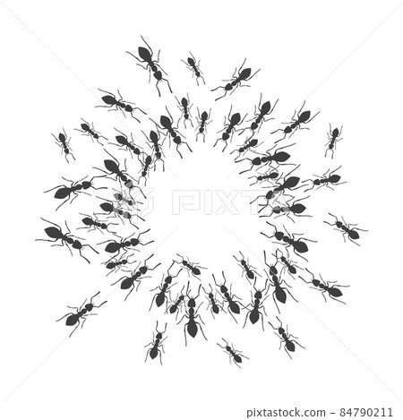 A colony of ants gathers in a circle. A group of insects around a place for a text. Vector A colony of ants gathers in a circle. A group of insects around a place for a text. Vector 84790211