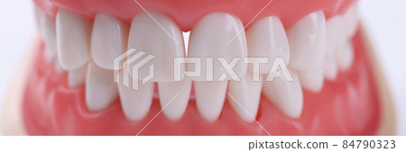 Artificial human jaw with correct bite and white teeth closeup Artificial human jaw with correct bite and white teeth closeup 84790323