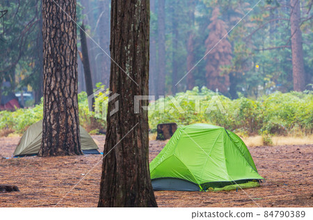 Tent in the forest 84790389