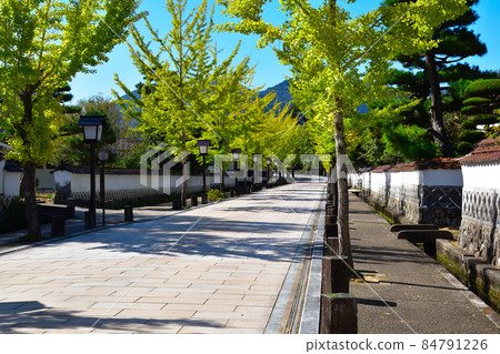 Tsuwano Town Tonomachi Dori 84791226