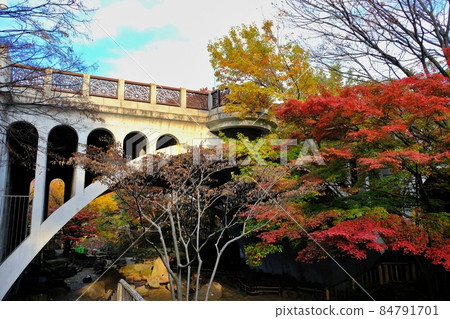 Kita-ku, Tokyo Otonashi Bridge and autumn leaves Kita-ku, Tokyo Otonashi Bridge and autumn leaves 84791701