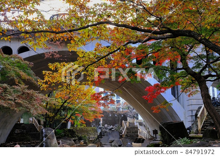 Kita-ku, Tokyo Otonashi Bridge and autumn leaves 84791972