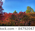 Autumn leaves in Kyoto 84792047