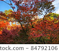 Autumn leaves in Kyoto 84792106