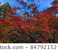 Autumn leaves in Kyoto 84792152