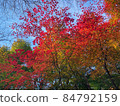 Autumn leaves in Kyoto 84792159