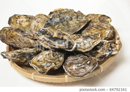 Freshly caught raw oysters sent directly from the production area, oysters made from high-quality winter ingredients Freshly caught raw oysters sent directly from the production area, oysters made from high-quality winter ingredients 84792161