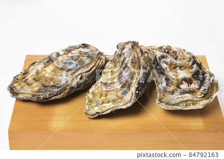 Freshly caught raw oysters sent directly from the production area, oysters made from high-quality winter ingredients Freshly caught raw oysters sent directly from the production area, oysters made from high-quality winter ingredients 84792163