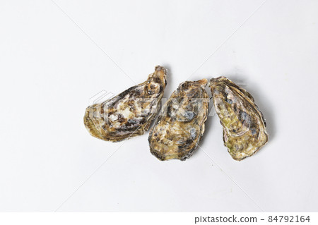 Freshly caught raw oysters sent directly from the production area, oysters made from high-quality winter ingredients 84792164