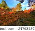 Autumn leaves in Kyoto 84792189