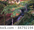 Autumn leaves in Kyoto 84792194
