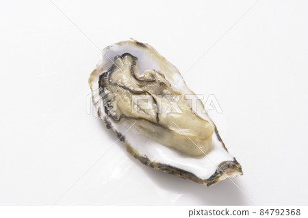 產地直接捕撈的新鮮生蠔 冬季優質生蠔新鮮捕撈的生蠔,是冬季優質食材 產地直接捕撈的新鮮生蠔 冬季優質生蠔新鮮捕撈的生蠔,是冬季優質食材 84792368