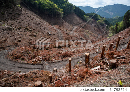 Scenery where trees were cut down 84792734