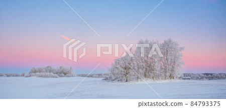 Cold winter landscape with morning light, frozen trees and snow cover, snowy winter, north Cold winter landscape with morning light, frozen trees and snow cover, snowy winter, north 84793375