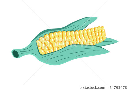 Corn vector isolated on white background. Fresh, health food icon are shown. Corn vector isolated on white background. Fresh, health food icon are shown. 84793478