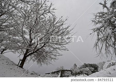 Shinzan Castle in winter 84793511