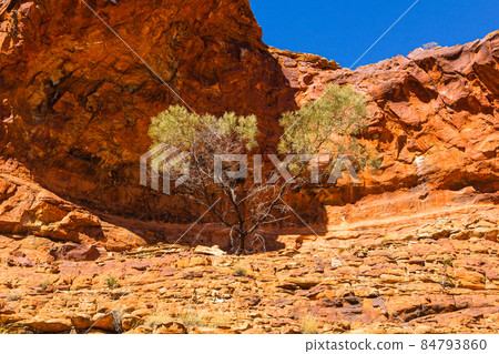 Scenery of Kings Canyon in Watalka National Park in the Northern Territory, Australia Scenery of Kings Canyon in Watalka National Park in the Northern Territory, Australia 84793860