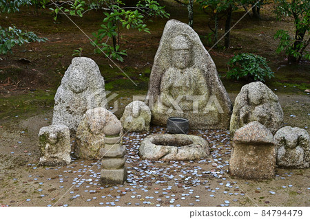 From Kinkakuji 84794479