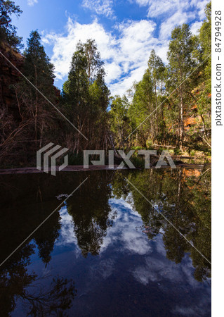 Fern Pool in Karijini National Park, Western Australia 84794928