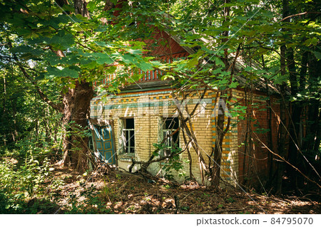 Belarus. Abandoned House Overgrown With Trees And Vegetation In Chernobyl Resettlement Zone. Chornobyl Catastrophe Disasters. Dilapidated House In Belarusian Village. Whole Villages Must Be Disposed 84795070