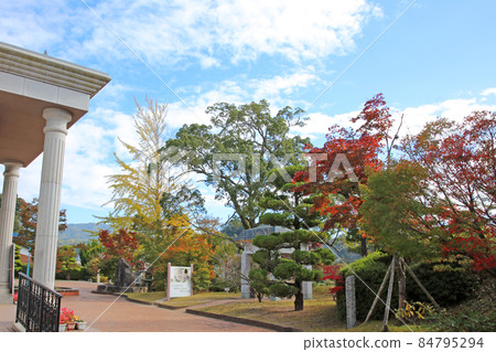 Autumn leaves of Dempe Ito Autumn leaves of Dempe Ito 84795294