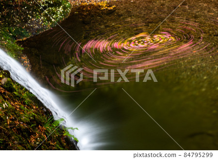 Petals floating in the basin Petals floating in the basin 84795299