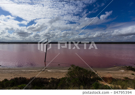 Australia Hutt Lagoon Pink salt lake Australia Hutt Lagoon Pink salt lake 84795394