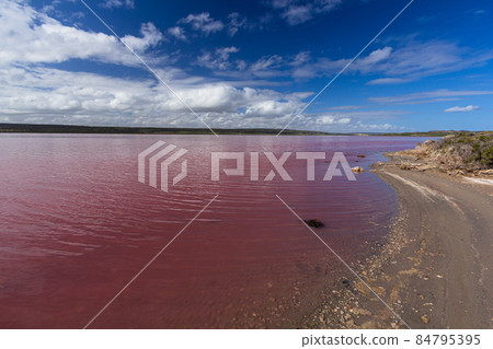 澳大利亞 Hutt Lagoon 粉紅鹽湖 84795395