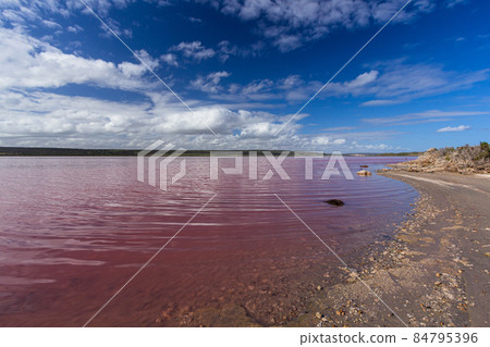 澳大利亞 Hutt Lagoon 粉紅鹽湖 84795396