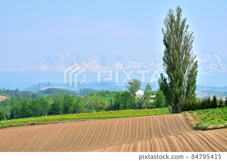 Biei-cho, Hokkaido Early summer scenery, spring in the north, northern land, distant view of Tokachi mountain range, Oputateshike, Biei Fuji, Biei-dake Biei-cho, Hokkaido Early summer scenery, spring in the north, northern land, distant view of Tokachi mountain range, Oputateshike, Biei Fuji, Biei-dake 84795415