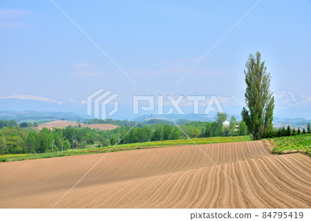 北海道美瑛町 初夏的景色,北方的春天,北方的陸地,遠觀十胜山脈,禦畑池,美瑛富士,美瑛岳 北海道美瑛町 初夏的景色,北方的春天,北方的陸地,遠觀十胜山脈,禦畑池,美瑛富士,美瑛岳 84795419
