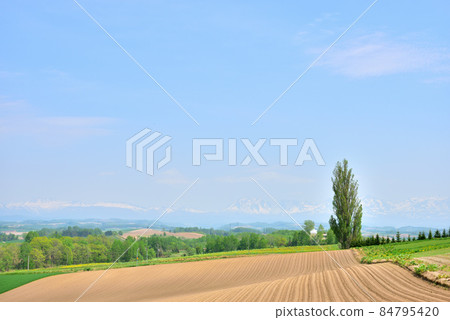Biei-cho, Hokkaido Early summer scenery, spring in the north, northern land, distant view of Tokachi mountain range, Oputateshike, Biei Fuji, Biei-dake Biei-cho, Hokkaido Early summer scenery, spring in the north, northern land, distant view of Tokachi mountain range, Oputateshike, Biei Fuji, Biei-dake 84795420