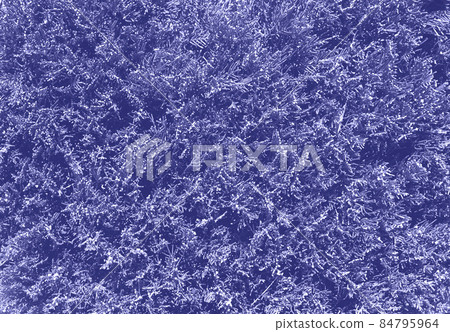 color of the year 2022. plants in very peri color is a great background color of the year 2022. plants in very peri color is a great background 84795964