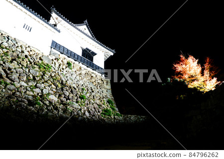 Hikone Castle Autumn Leaves Illuminated Hikone Castle Autumn Leaves Illuminated 84796262