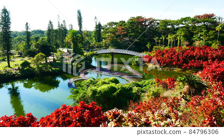 Southeast Botanical Garden 84796306