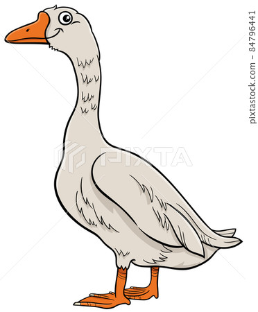 cartoon goose bird farm animal character cartoon goose bird farm animal character 84796441