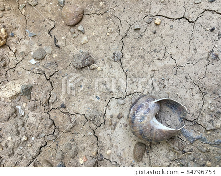 Cracked soil because of drought. 84796753