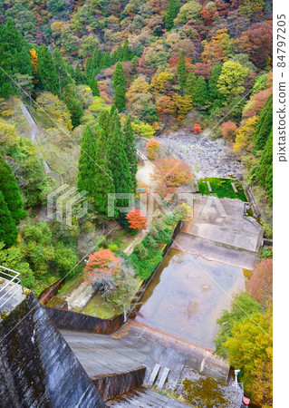 Hikihara Dam and Autumn Leaves (Shiso City, Hyogo Prefecture) 84797205