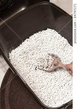 A person who cleans a cat litter box Cat sand Paper sand 84797271