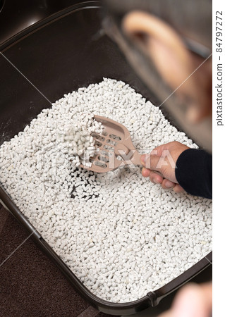 A person who cleans a cat litter box Cat sand Paper sand A person who cleans a cat litter box Cat sand Paper sand 84797272