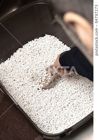 A person who cleans a cat litter box Cat sand Paper sand 84797273