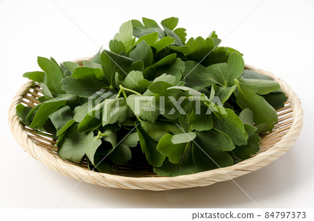Longevity grass (Button bow fish) Longevity grass (Button bow fish) 84797373