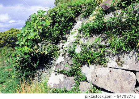 Toshigami Castle 84798775