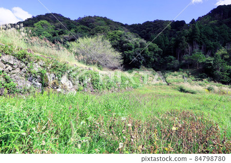 Toshigami城堡 84798780