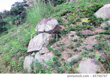 Toshigami Castle Toshigami Castle 84798787