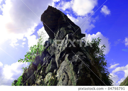 Toshigami城堡 84798791