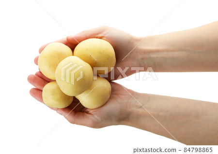 Female hands hold young potato, isolated on white background Female hands hold young potato, isolated on white background 84798865