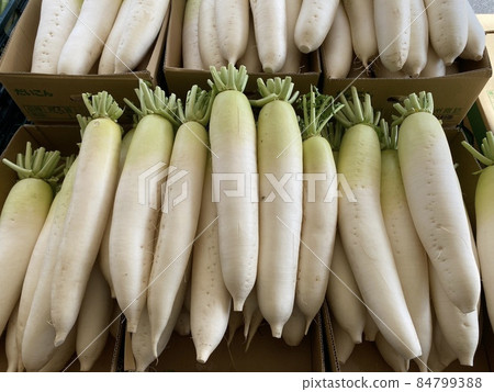 Fresh and cheap blue sky market 84799388