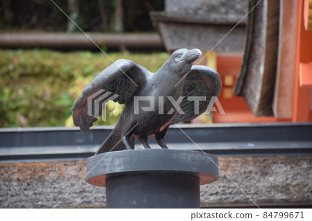 【熊野古道熊野三山】熊野那智大社 84799671