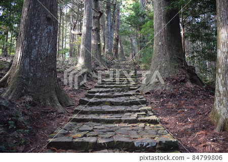[熊野古道 / Nakahechi] 大門坂 84799806